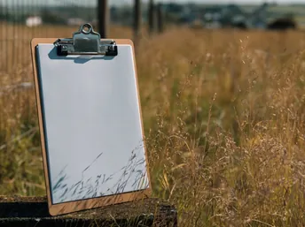 Как оформить межевание, если соседи неизвестны: пошаговая инструкция на 2025 год